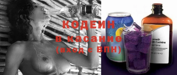 амф Пересвет