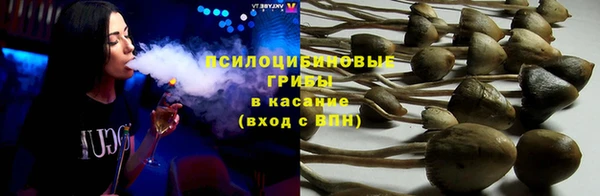 мяу мяу мука Переславль-Залесский