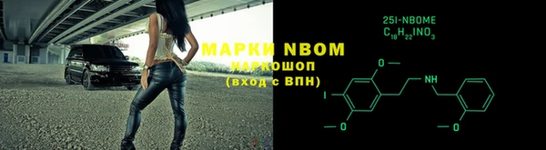 амф Пересвет